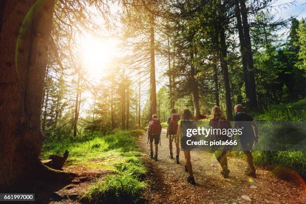 adventures on the dolomites: family together - woods stock pictures, royalty-free photos & images