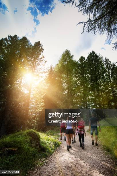 adventures on the dolomites: family together - family vertical stock pictures, royalty-free photos & images