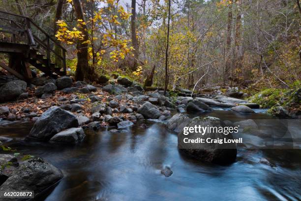 garzas creek in garzas canyon during the autumn- carmel valley, california - stoney creek bridge fotografías e imágenes de stock