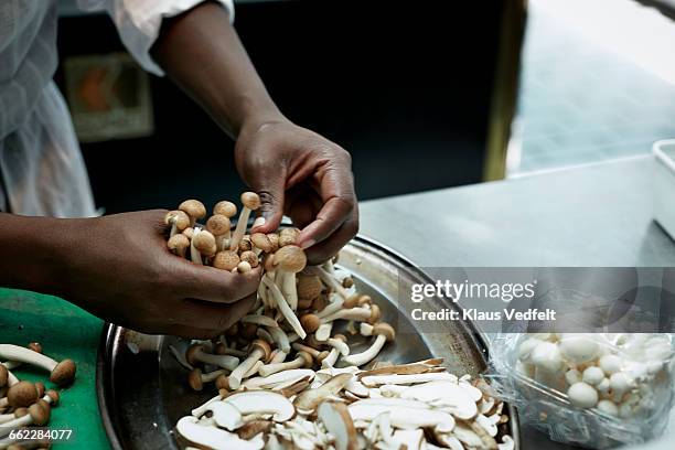 close-up of chef sorting out mushrooms in kitchen - enoki mushroom stock-fotos und bilder