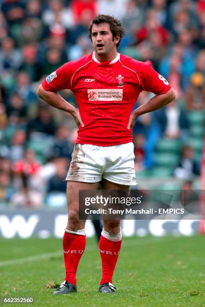 90 Dafydd Hewitt Stock Photos, HighRes Pictures, and Images Getty Images