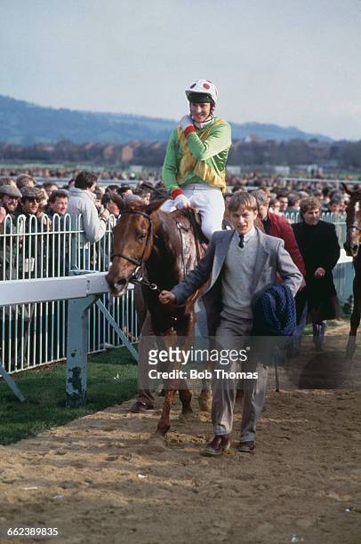 Bregawn, ridden by Graham Bradley is led into the unsaddling enclosure at Cheltenham Racecourse after winning the Cheltenham Gold Cup, 17th September...