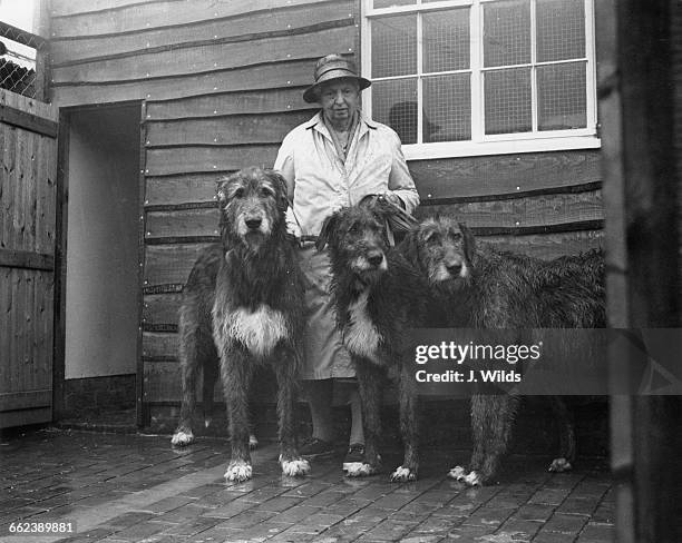 British racehorse breeder and trainer, and dog breeder, Florence Nagle with three of her Irish wolfhounds at her home, Westerlands stud farm in...