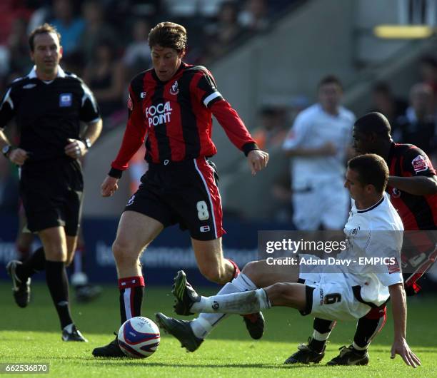 48 Ferrie Bodde Stock Photos, HighRes Pictures, and Images Getty Images