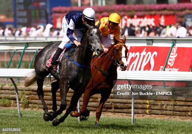 768 Michael Rodd Photos Stock Photos, High-Res Pictures, and Images ...