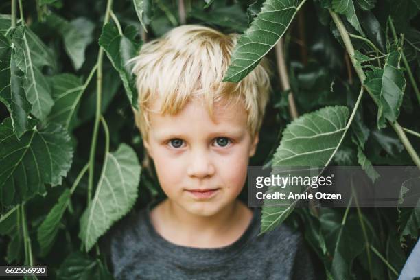 Portrait of Boy surrounded by leavs