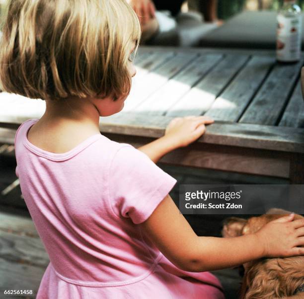 girl petting golden retriever - scott zdon stock-fotos und bilder