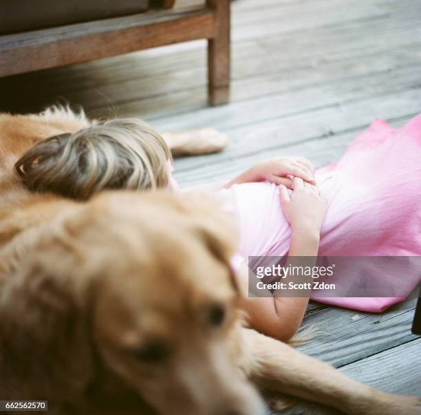 girl resting on golden retriever - scott zdon stock-fotos und bilder