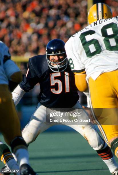 Dick Butkus of the Chicago Bears in action against the Green Bay Packers during an NFL football game November 7, 1971 at Soldier Field in Chicago,...