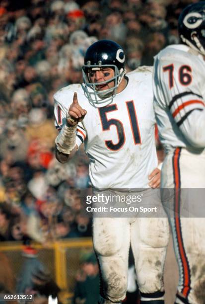 Dick Butkus of the Chicago Bears in action against the Green Bay Packers during an NFL football game November 4, 1973 at Lambeau Field in Green Bay,...