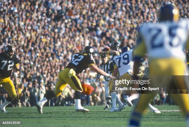 Steelers Roses Rose Bradshaw Photos and Premium High Res Pictures - Getty Images
