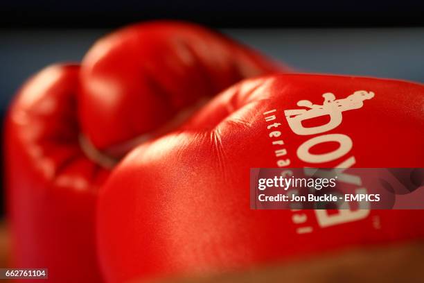 Pair of boxing gloves bearing the name of the fight promoter Boxa Promotions