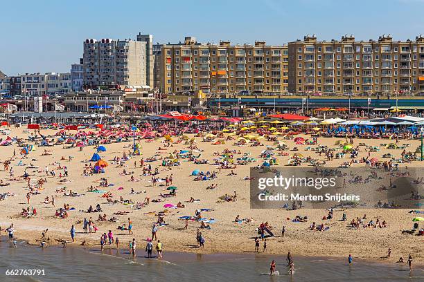 scheveningen beach on hot summer day - the hague summer stock pictures, royalty-free photos & images