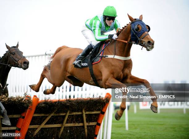 Gone to Lunch ridden by jockey Tony McCoy clears a hurdle in the Citroen C5 Sefton Novices' Hurdle