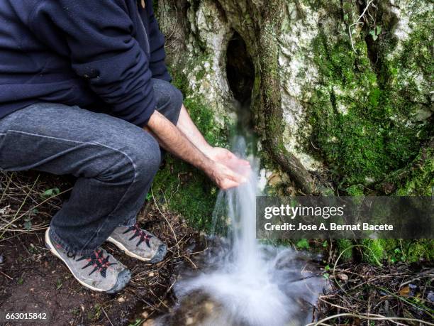 birth of a river of water mountain cleans, that appears from a hole in a rock with roots and moss in the nature, and hands of a man washing with hands in the water - lavarse las manos stock pictures, royalty-free photos & images