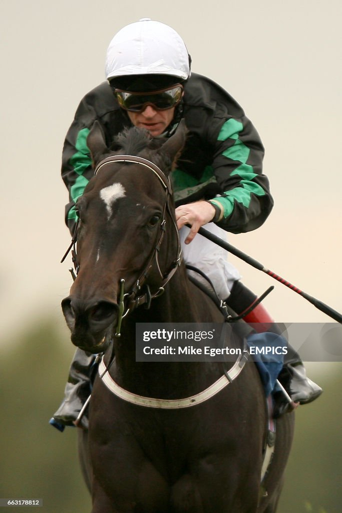 Horse Racing - Trinidad & Tobago Day - Pontefract