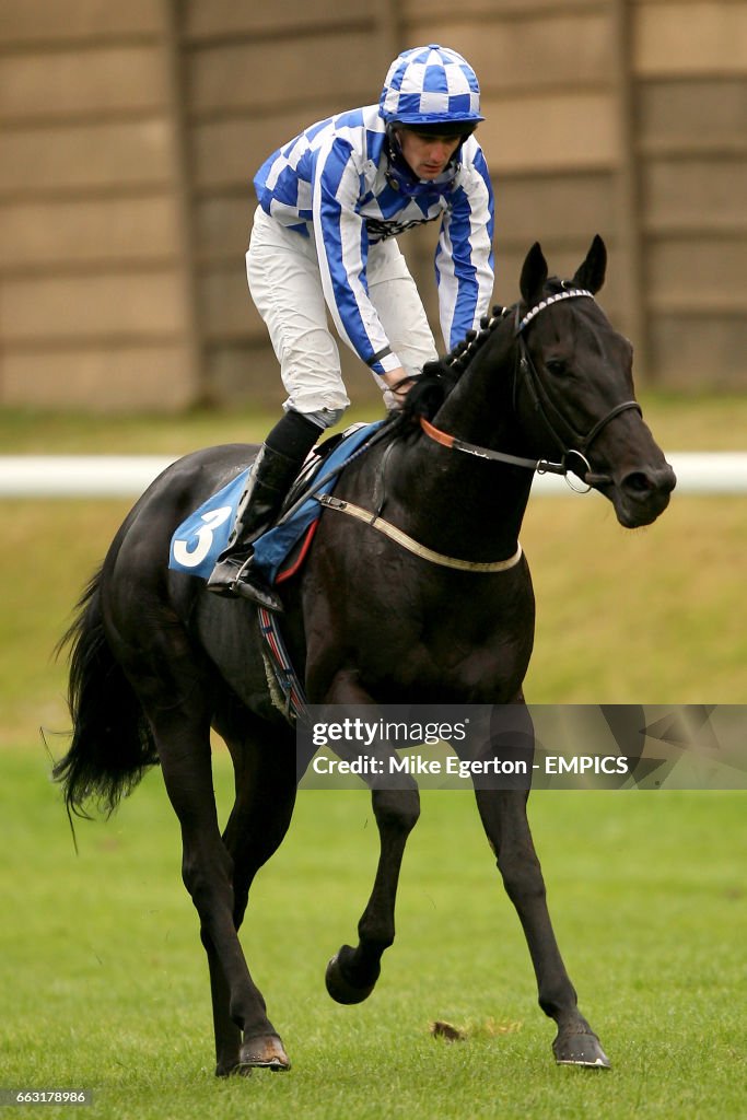 Horse Racing - Trinidad & Tobago Day - Pontefract