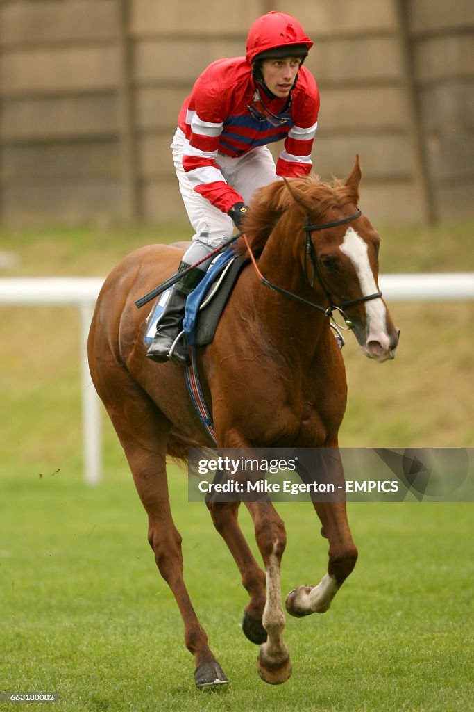 Horse Racing - Trinidad & Tobago Day - Pontefract