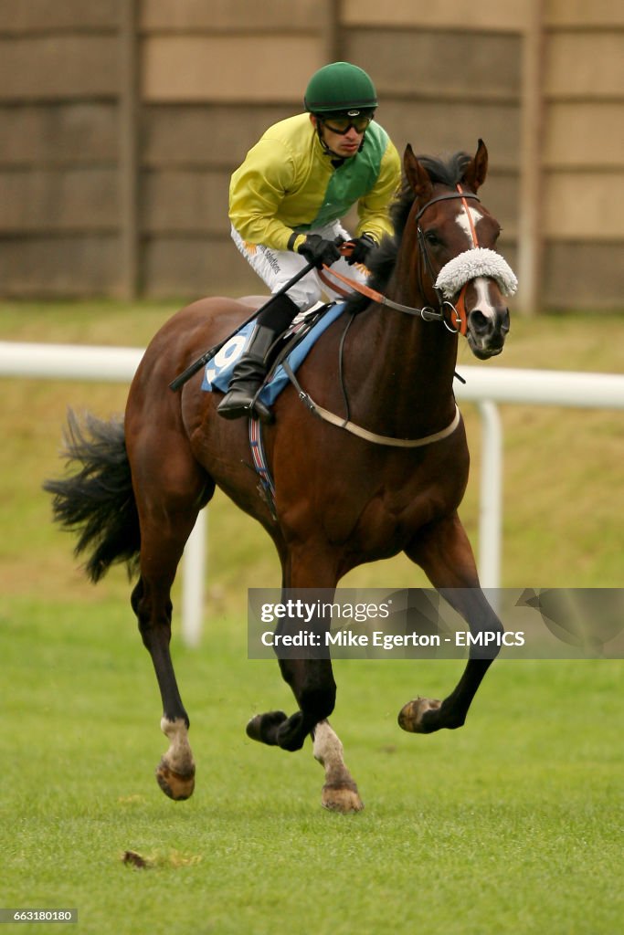 Horse Racing - Trinidad & Tobago Day - Pontefract
