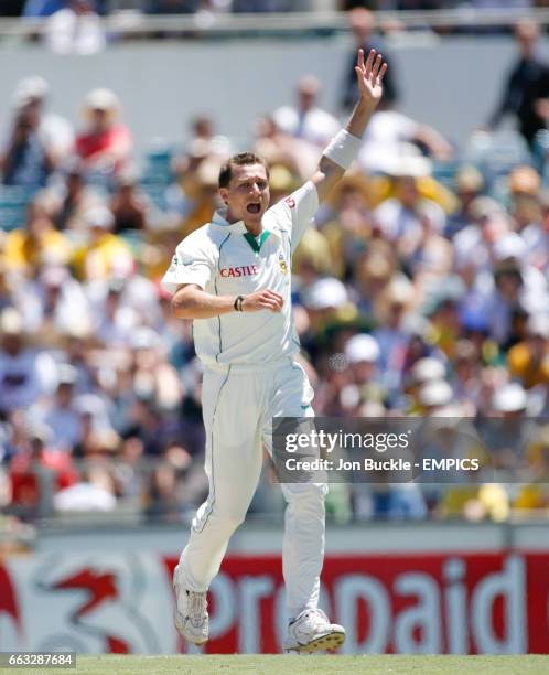 South Africa's Dale Steyn celebrates claiming the wicket of Australia's Mike Hussey