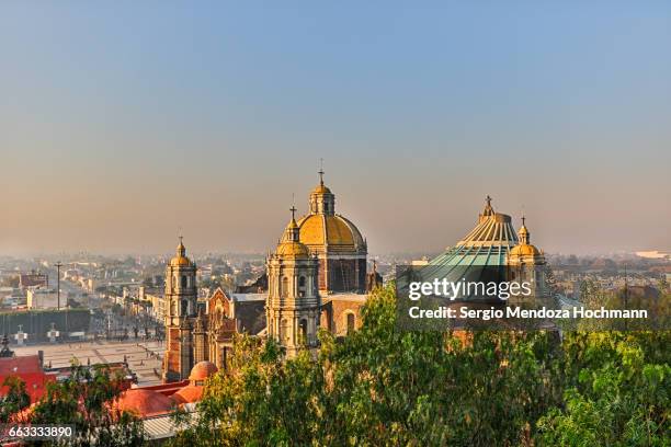 view of the basilica of our lady of guadalupe - mexico city, mexico - basilica of our lady of guadalupe 個照片及圖片檔