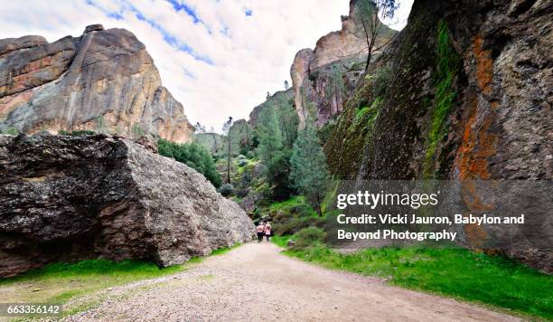 the trail to balconies caves at pinnacles national park - pináculo formação rochosa - fotografias e filmes do acervo