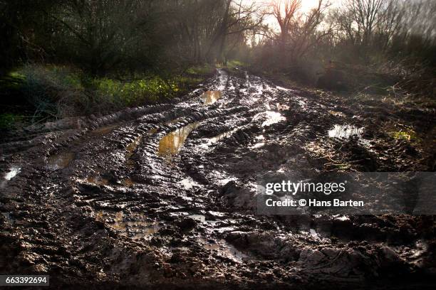 dirty road - hans barten stockfoto's en -beelden