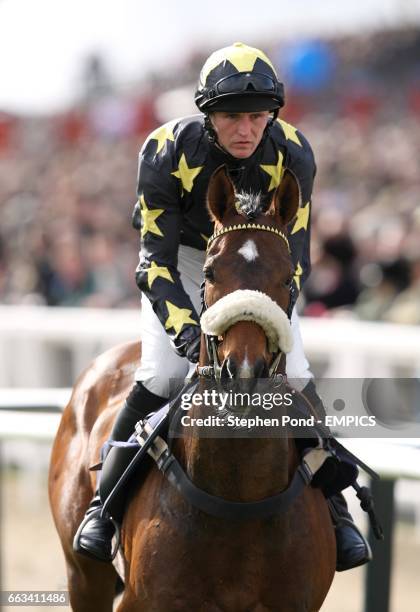 Jockey Derek Laverty on Bee Sting