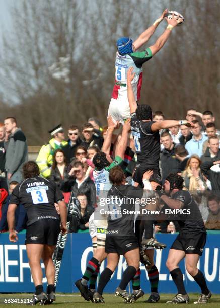 George Robson 304 George Robson Rugby Player Stock Photos, High-Res Pictures, and ...