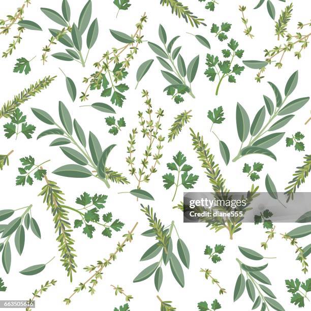 illustrations, cliparts, dessins animés et icônes de herbes cuisson seamless pattern - thym
