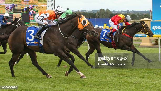 Aurelius Hero ridden by Lucinda Doodt dead heats with Arachne ridden by Dean Yendall in Woman's Racing BM70 Handicap at Sportsbet-Ballarat Racecourse...