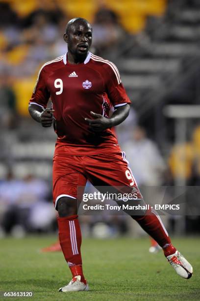 98 Gerba Stock Photos, High-Res Pictures, and Images - Getty Images