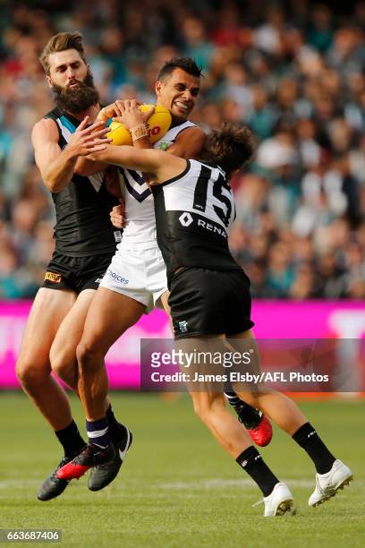 Justin Westhoff and Karl Amon of the Power tackle Danyle Pearce of the Dockers during the 2017 AFL round 02 match between the Port Adelaide Power and...