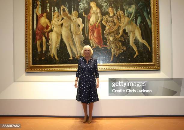 Camilla, Duchess Of Cornwall poses in front of Primavera, also known as Allegory of Spring, a painting by Italian Renaissance artist Sandro...