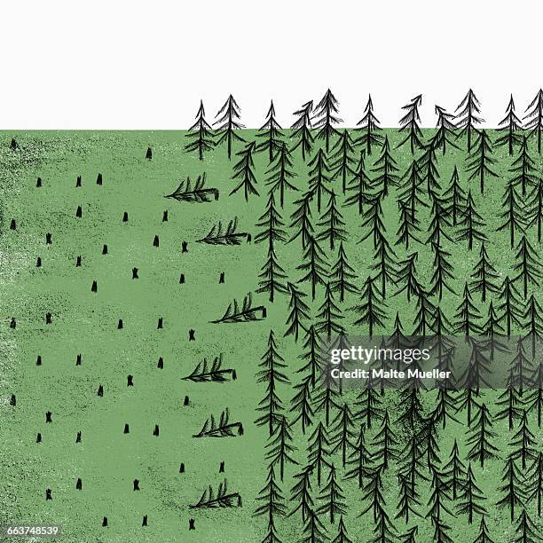 view of deforestation against white background - tree stump illustration stock illustrations