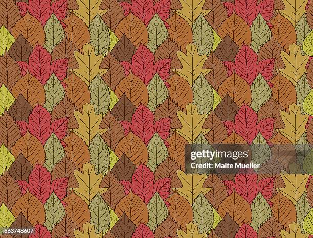 full frame shot of autumn leaves - the fall stock illustrations