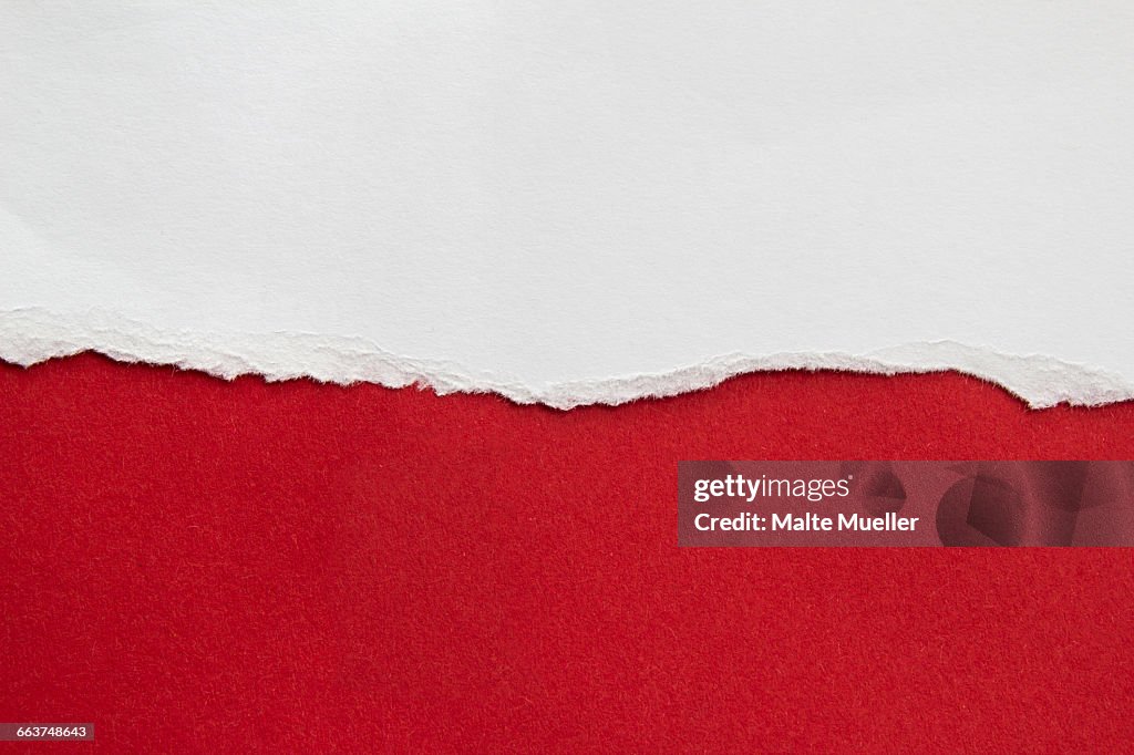 Full frame shot of Polish flag