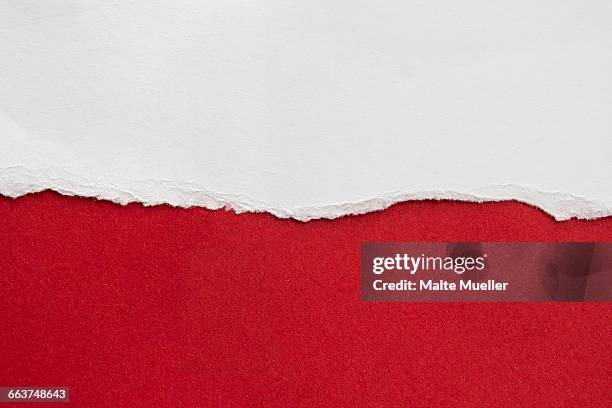 full frame shot of polish flag - torn wallpaper stock pictures, royalty-free photos & images