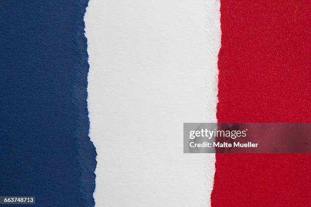 illustrations, cliparts, dessins animés et icônes de full frame shot of french flag - tri color