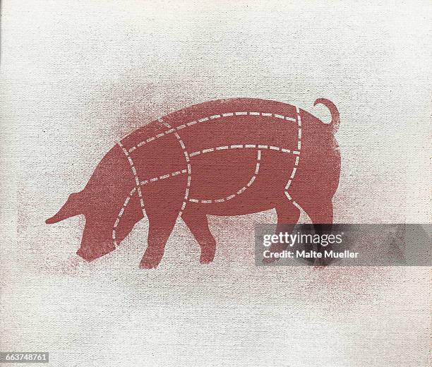 butchers diagram of pig against white background - pig stock illustrations