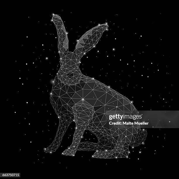 digital composite image of constellation forming rabbit against black background - constellation pattern stock illustrations