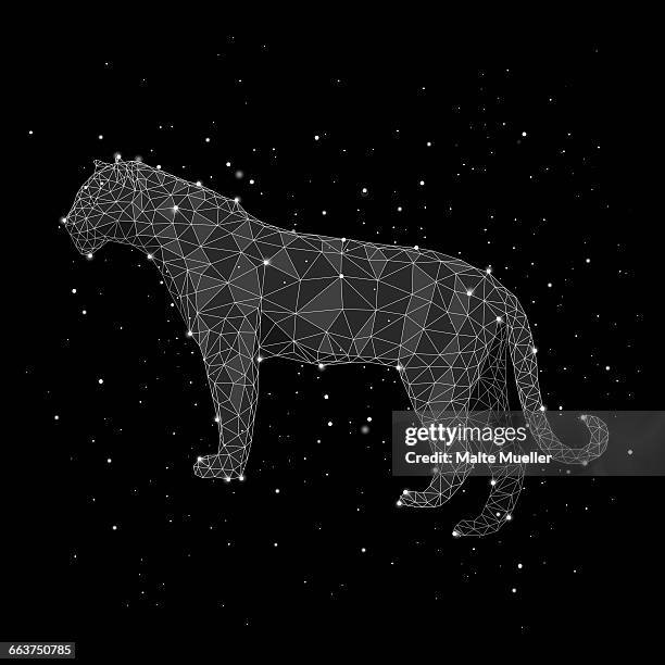illustration of constellation forming leopard against black background - constellation stock-grafiken, -clipart, -cartoons und -symbole
