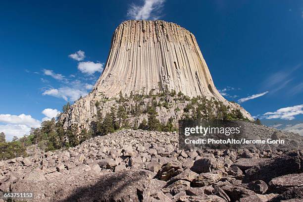 devils tower national monument, wyoming, usa - devils tower stock pictures, royalty-free photos & images