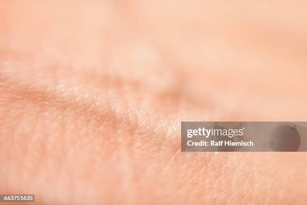 full frame shot of human skin - haut empfindlich stock-fotos und bilder