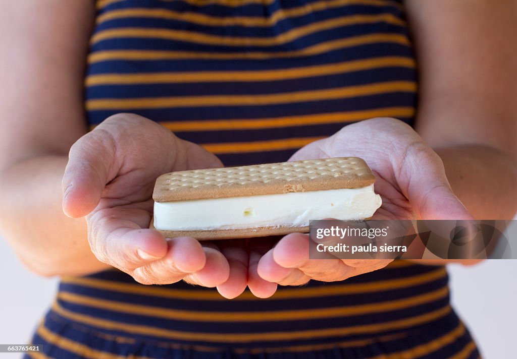 National Ice Cream Sandwich Day