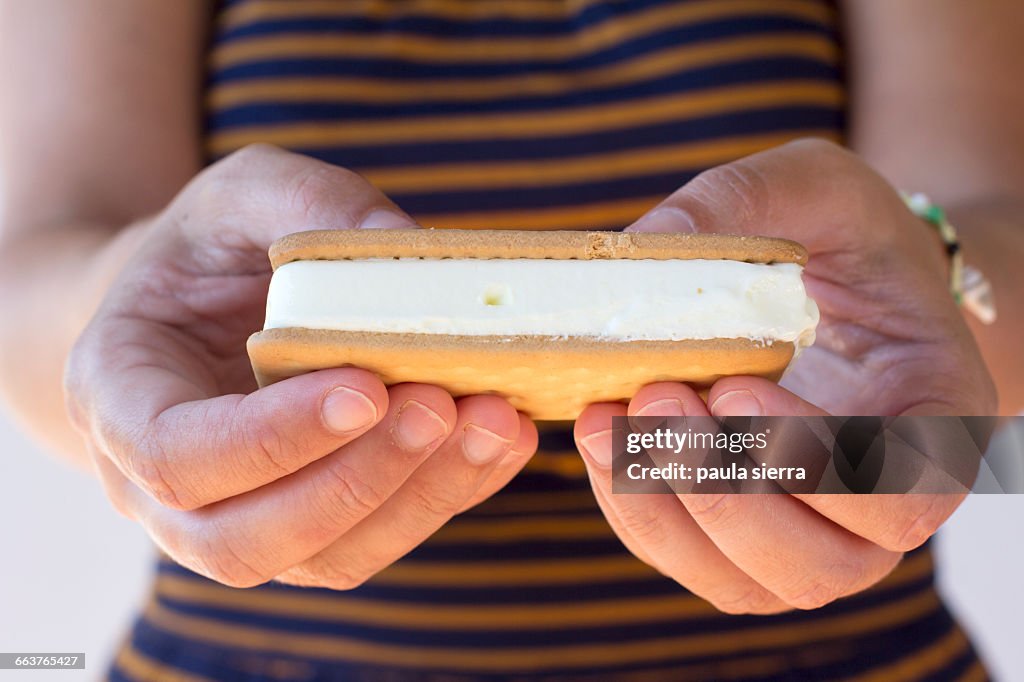 National Ice Cream Sandwich Day