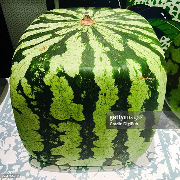 watermelon day! - square watermelon japan stock pictures, royalty-free photos & images