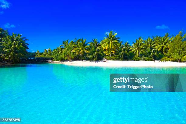 bora bora taiti  - polynesia - fotografias e filmes do acervo