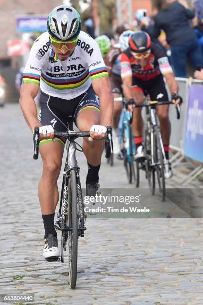 101st Tour of Flanders 2017 / Men Peter SAGAN / Greg VAN AVERMAET / Oliver NAESEN / Oude Kwaremont / Antwerpen - Oudenaarde / Ronde van Vlaanderen /...