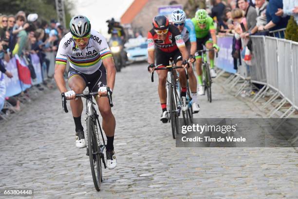 101st Tour of Flanders 2017 / Men Peter SAGAN / Greg VAN AVERMAET / Oliver NAESEN / Oude Kwaremont / Antwerpen - Oudenaarde / Ronde van Vlaanderen /...